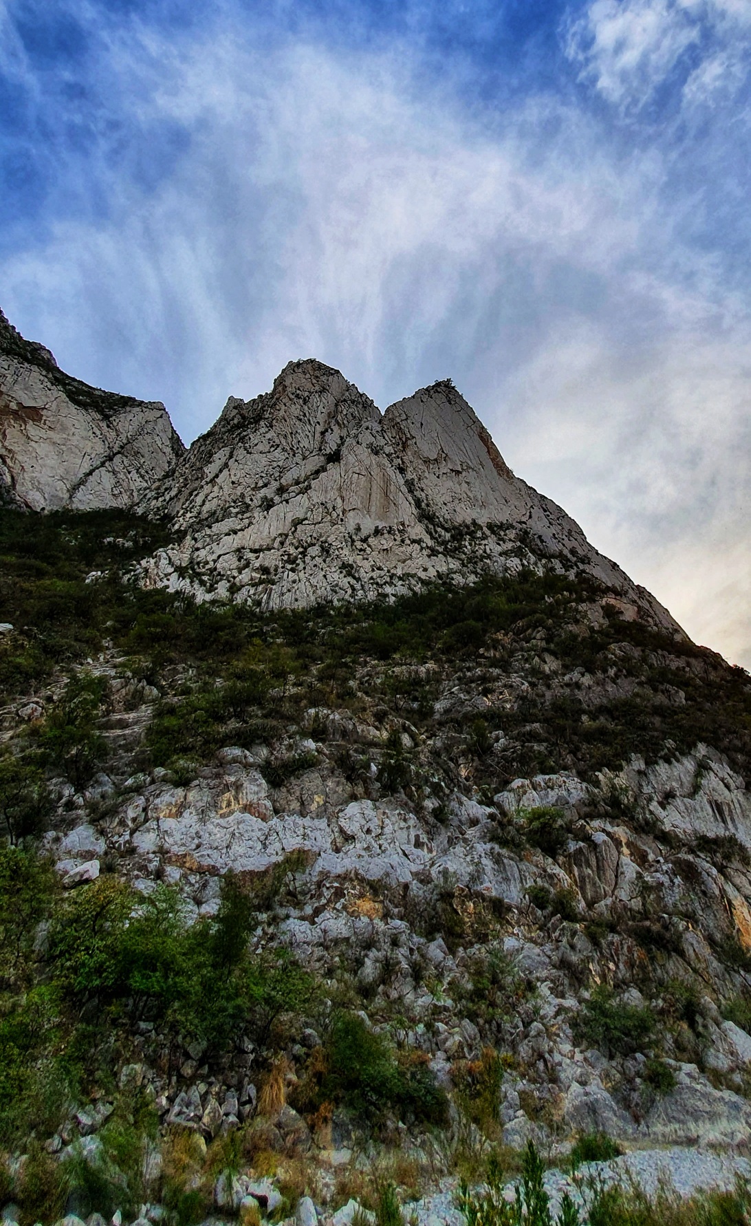 Galería 1