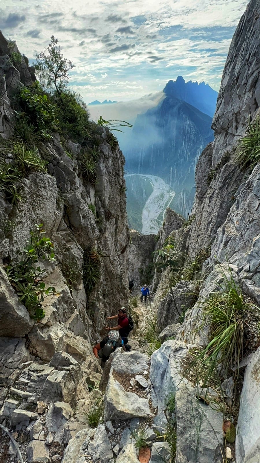 Galería 8