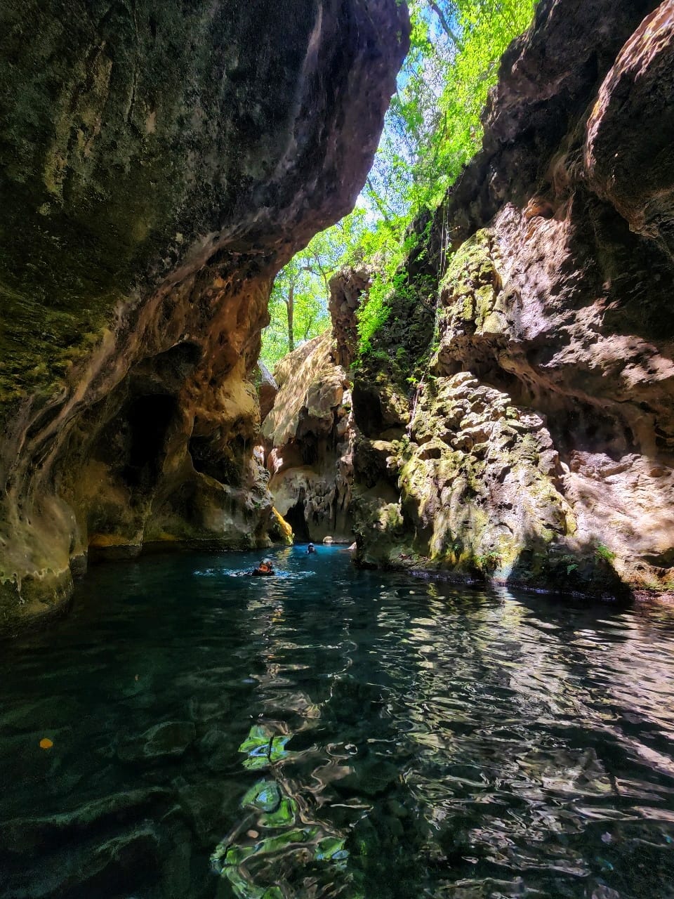 Galería 5